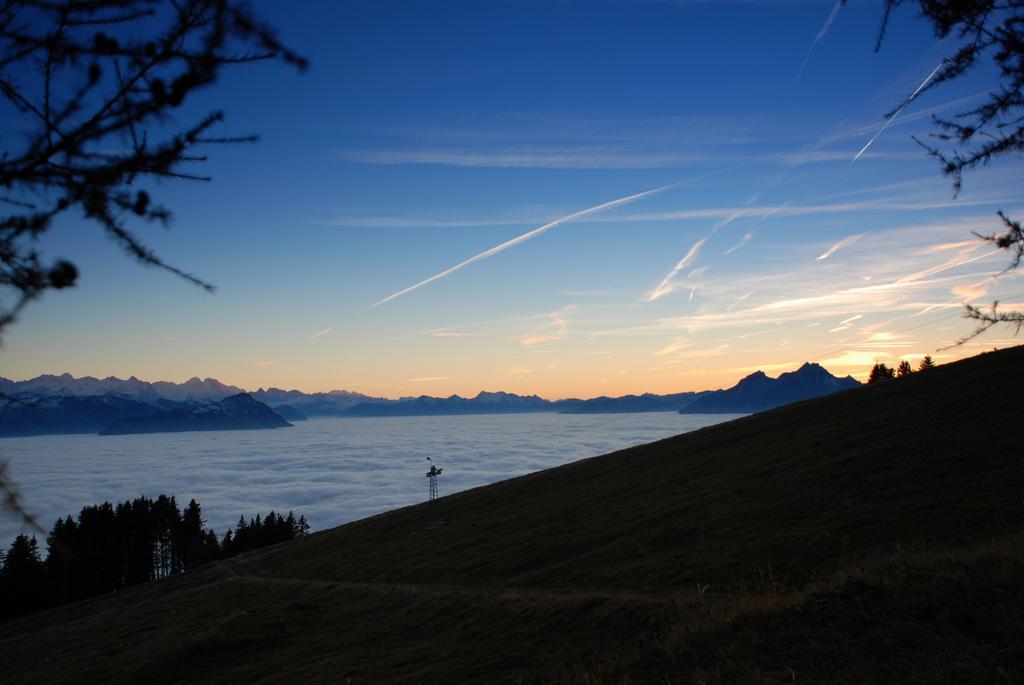 Kraeuterhotel Edelweiss Rigi Kaltbad Eksteriør bilde