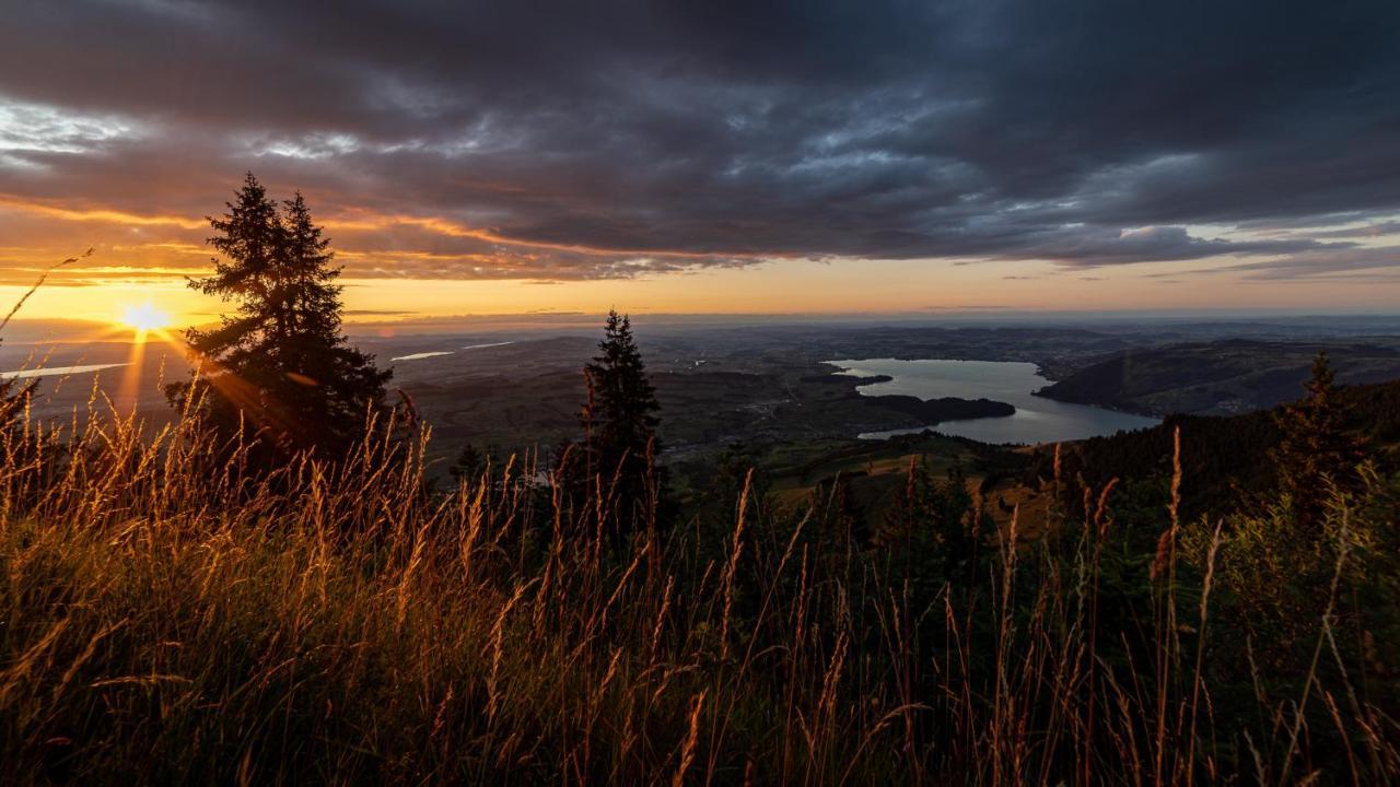Kraeuterhotel Edelweiss Rigi Kaltbad Eksteriør bilde