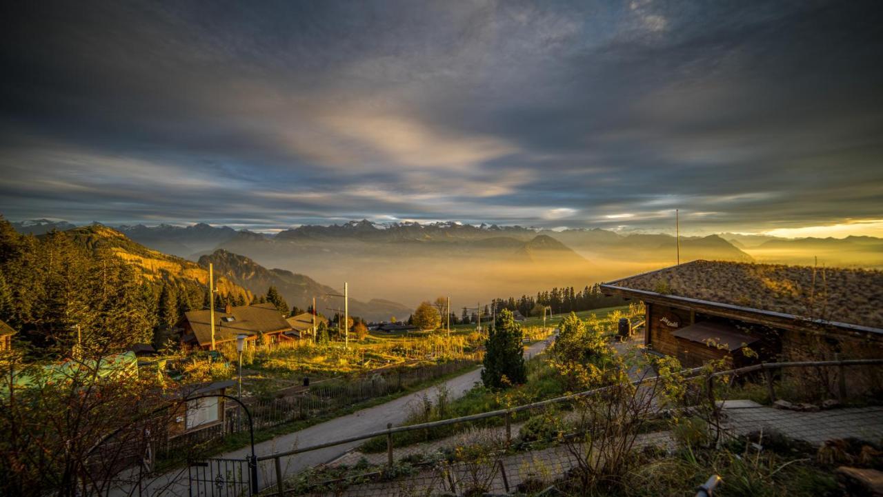 Kraeuterhotel Edelweiss Rigi Kaltbad Eksteriør bilde