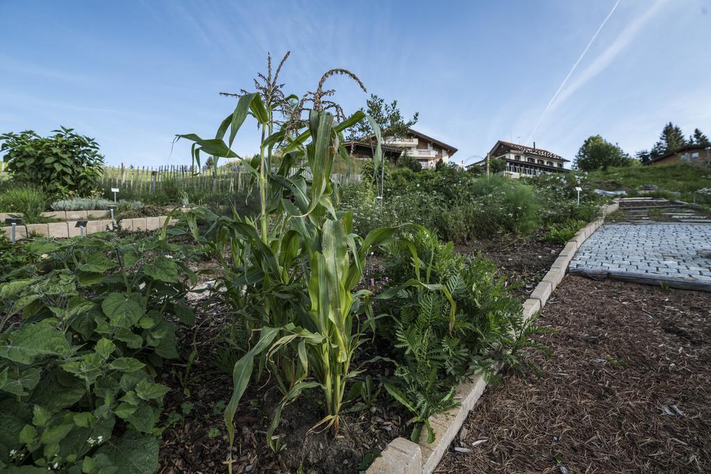 Kraeuterhotel Edelweiss Rigi Kaltbad Eksteriør bilde