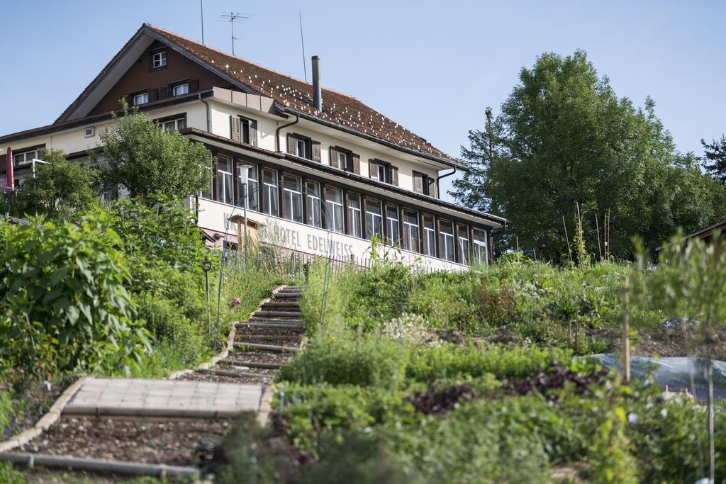 Kraeuterhotel Edelweiss Rigi Kaltbad Eksteriør bilde